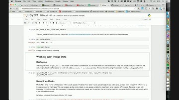 Brainhack Americas - NiBabel 101