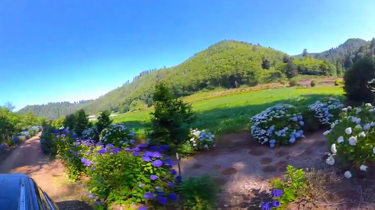 Insta360 one x The Hydrangea Ranch Tillamook, Oregon YouTube
