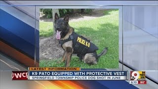 Wounded police dog gets protective vest