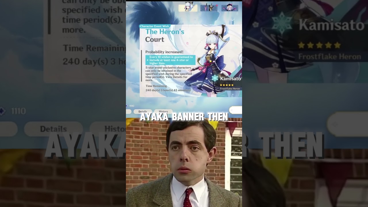 Did You Remember This Ayaka Banner 