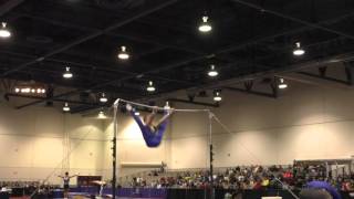 Shane Wiskus – High Bar – 2016 Winter Cup Prelims
