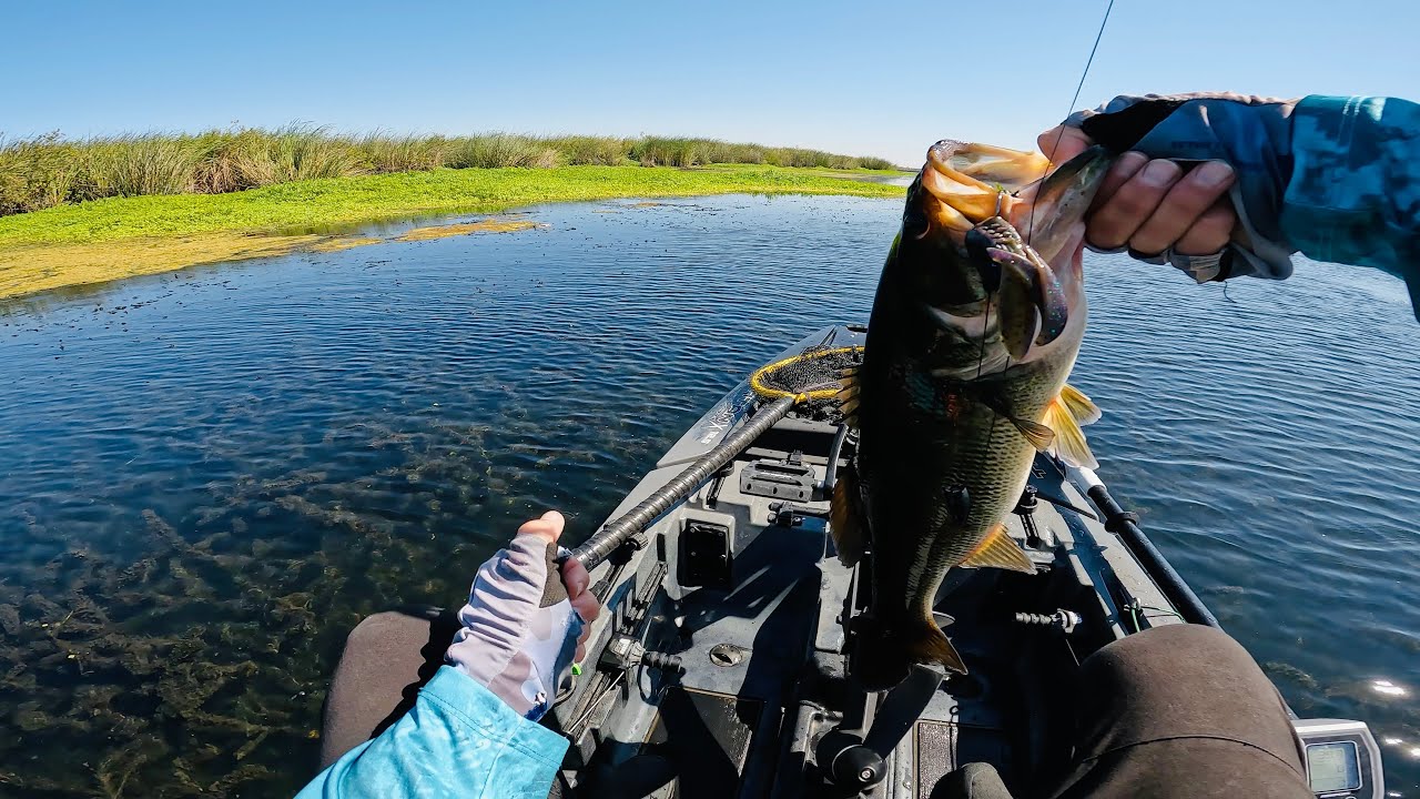 Summer to Fall Transition on the California Delta | Punching BIG BASS