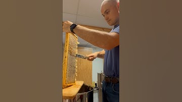 Uncapping honey mistake to avoid! #ytshorts #beekeeping #honey #farming #homestead