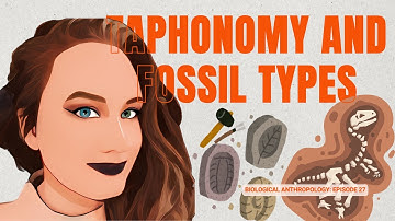 DR H EXPLAINS: Taphonomy and Fossil Types
