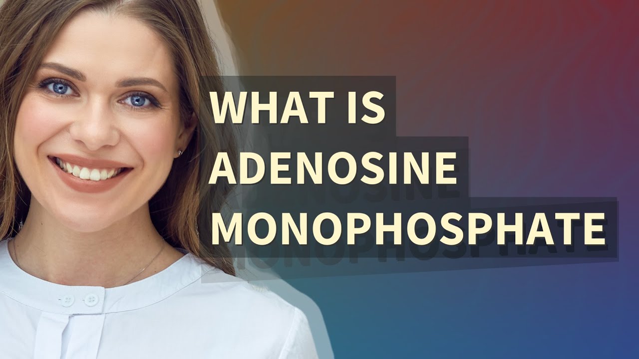 Adenosine monophosphate | meaning of Adenosine monophosphate - YouTube