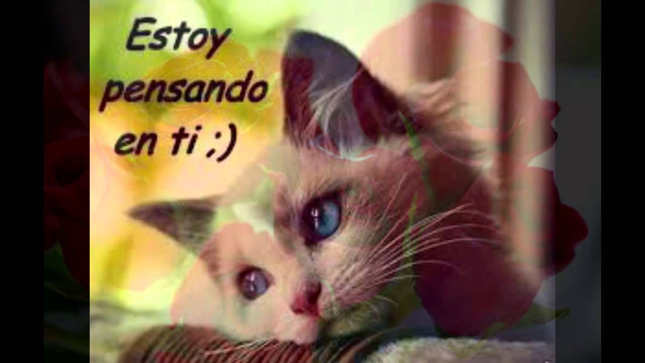 ERES TODO LO QUE QUIERO - YouTube