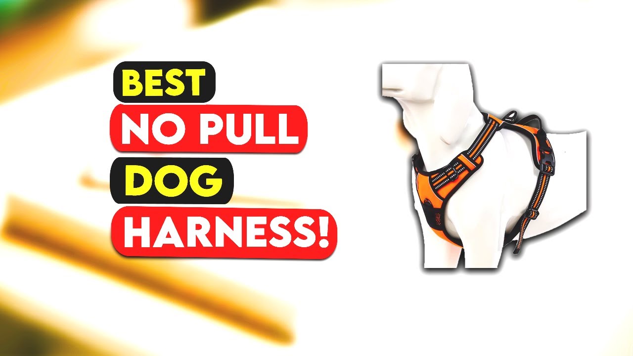 Top 3 Best No Pull Dog Harness 2022!🔥 YouTube