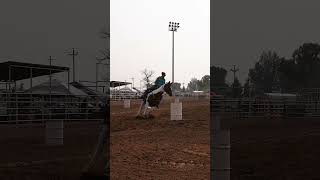 #nsca #omoksee #horse #rodeo #westernmedia #western #westernriding #aqha #youtubeshorts #subscribe