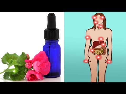 5 Reasons You Need A Bottle Of Geranium Essential Oil In Your