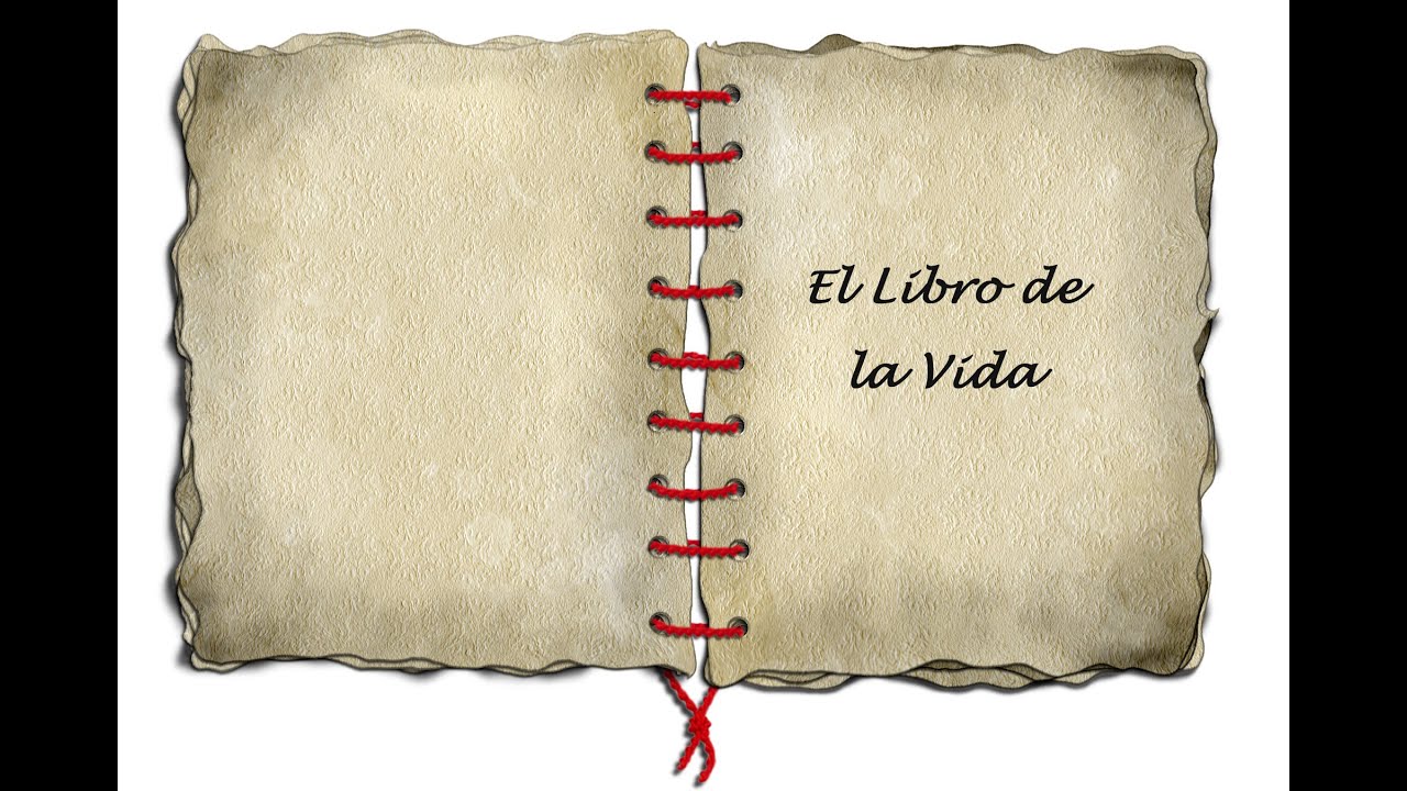 El libro de la Vida - Reflexión - YouTube