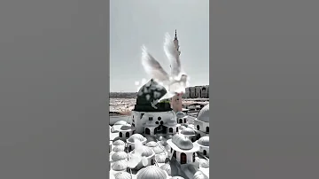 الف الصلاه والسلام عليك يا رسول الله وخاتم الأنبياء والمرسلين اللهم صل على محمد وال محمد 