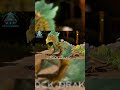 Ark Aberration Creatures Comparison