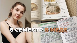 Первая неделя учёбы, 6 семестр в меде