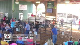 Meigs Independent Press - Meigs County Fair Livestock sale 2022