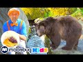Blippi Feeds the Zoo Animals | Moonbug Kids TV Shows - Full Episodes | Cartoons For Kids