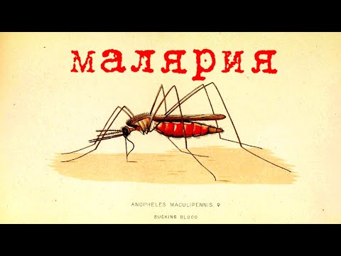 Видео: Была и остается одной из опаснейших болезней человека. Малярия