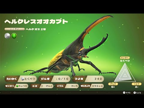 ぷてらす　ヘルクレスオオカブト 他 Amazon.co.jp: ヘルクレスオオカブト ヘラクレスオオカブト
