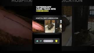 Vet Care Presentation By Dr. Boorstein~Part 33 Of 59