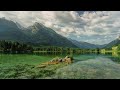 Beautiful Relaxing Music with Nature Background - Study Music, Stress Relief Music, Calming Music