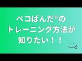 『ペコぱんだ』のトレーニング方法が知りたい！！【超簡単解説】