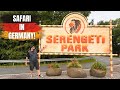 Overnight In Serengeti Park We Go On A SAFARI In GERMANY