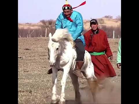 Адуучин залуу - YouTube