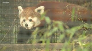 Huge crowds head to Zoo Boise for one of two free days this year
