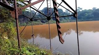 Red algae in pool