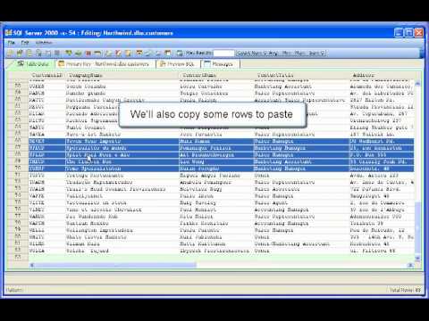 Aqua Data Studio 8.0 - Table Data Editor