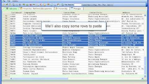 Aqua Data Studio 8.0 - Table Data Editor