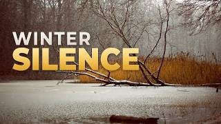 Gentle Winter Snowscape | Sleep Timer for 8 Hours of Restorative Quiet screenshot 1