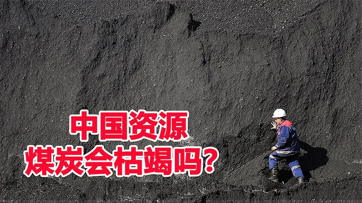 煤是如何形成的？资源有限，中国煤炭会枯竭吗？ - 天天要闻