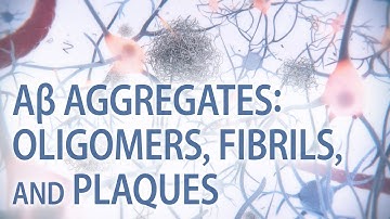 Aβ aggregates: oligomers, fibrils, & plaques | Alzheimer’s disease | medical animation