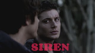 Siren - Wincest