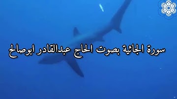 سورة الجاثية بصوت الحاج عبدالقادر ابوصالح