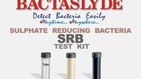 Bactaslyde - How to use Sulfate Reducing Bacteria Testing Kit