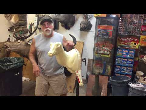 Testa's Tuesday Tips: Adding a leg to a Basic Mount