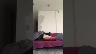 Alonso Serrano and Nick Murphy’s derby days draft video