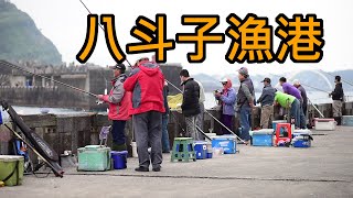 【八斗子漁港垂釣】基隆釣魚