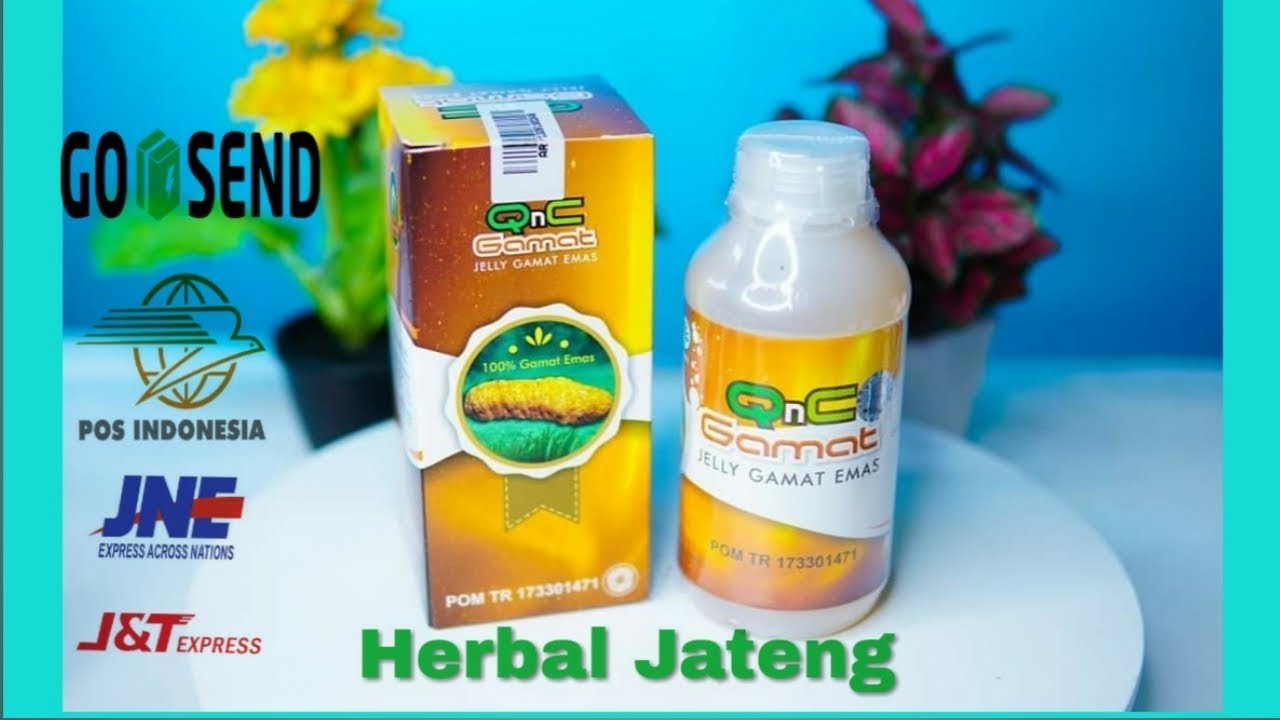 Qnc jelly gamat 