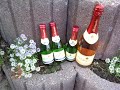 31 Jahre Mauerfall