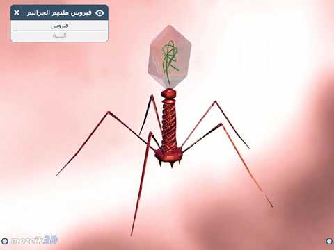 فيروس ملتهم البكتيريا البكتريوفاج