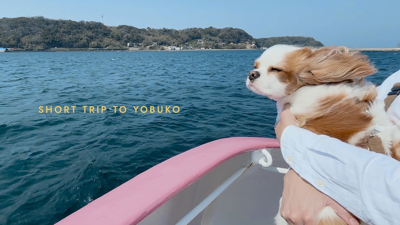 [Дневная поездка в Ёбуко] Подводная наблюдательная лодка 🛳 | Кухня кальмаров 🦑 | Японский видеоблог