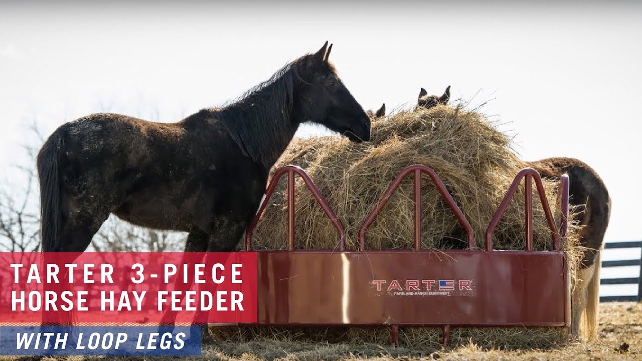 Tarter 3 Piece Horse Hay Feeder With Loop Legs Youtube