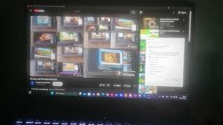 Masha And The Bear Bsod 16 Has Bsod