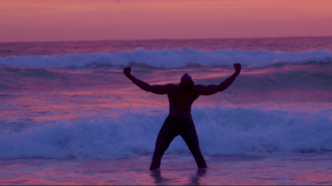 Watch Driftwood. - Hoya (Official Music Video) on YouTube Watch Driftwood. - Hoya (Official Music Video) on YouTube