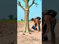 My Friend and the Tree of Endless Wonders🤣 #funny #viral #foryou #foryoupage #funnyvideos