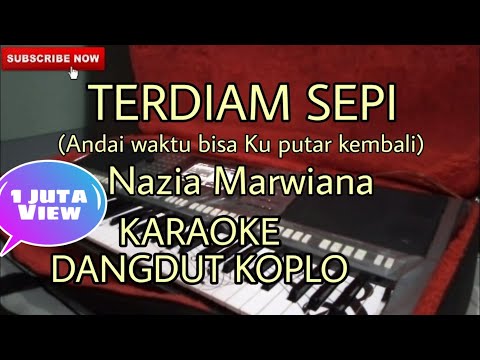 TERDIAM SEPI (Nazia  Marwiana) Karaoke Versi Dangdut Koplo[Andaikan Waktu bisa kuputar kembali]