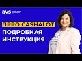 Всё, что нужно знать о регистрации и использовании ПРРО Cashalot в 2022 году. Подробная инструкция