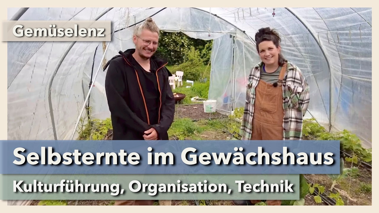 Selbsternte im Gewächshaus - Kulturführung, Organisation, Technik | Gemüselenz | 2024 | Teil 2